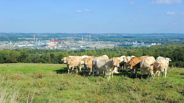 GROSSE DÉCEPTION – Pas de base régionale de Lidl sur le bassin de Lacq